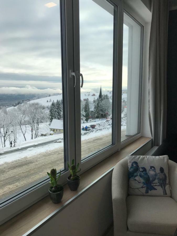 Apartamenty Zieleniec Duszniki Zdroj Bagian luar foto